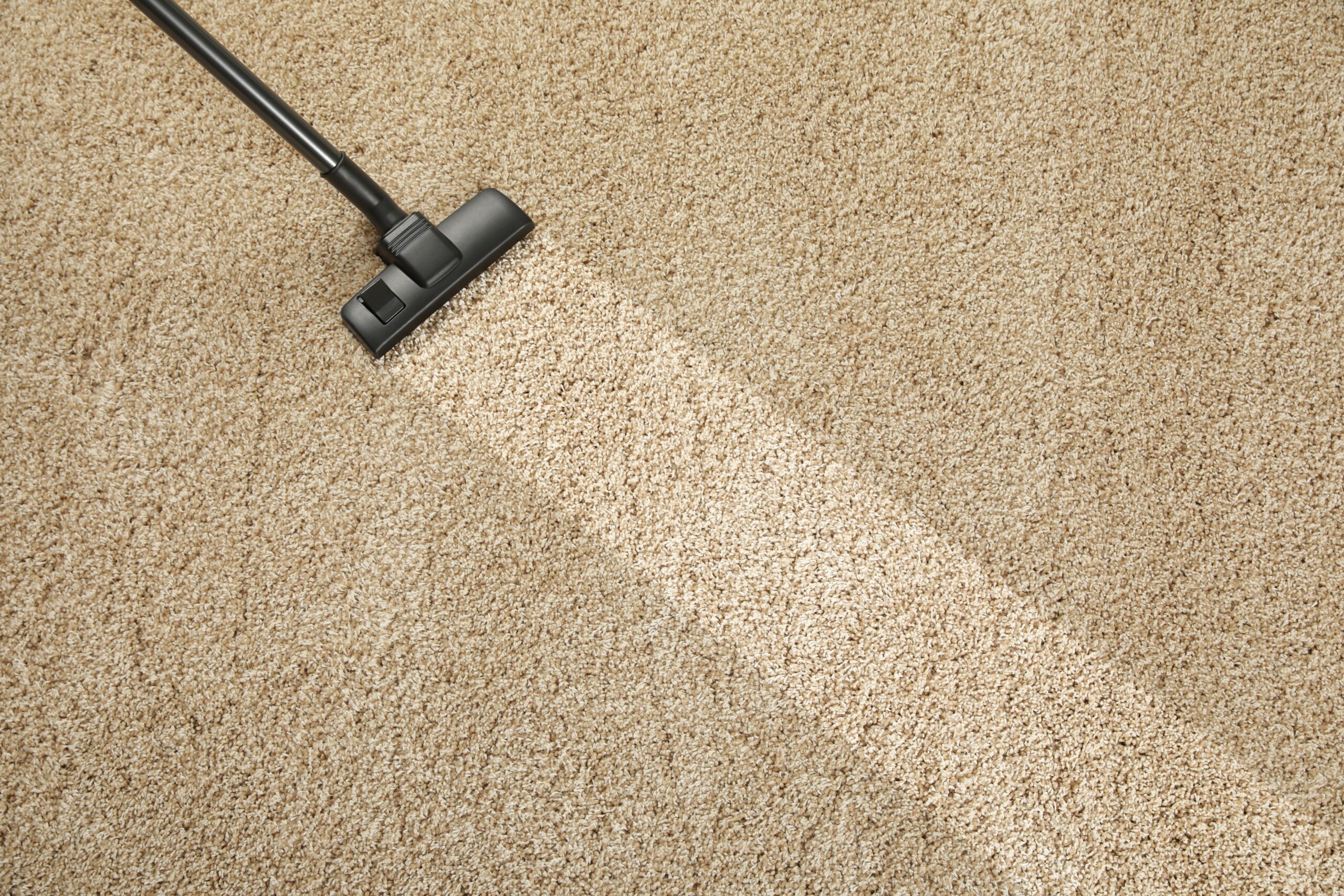 How Often Should You Clean Your Carpets? A Simple Guide for Homeowners